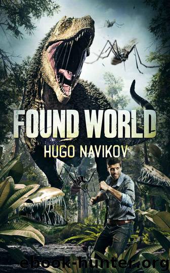 The Found World by Navikov Hugo