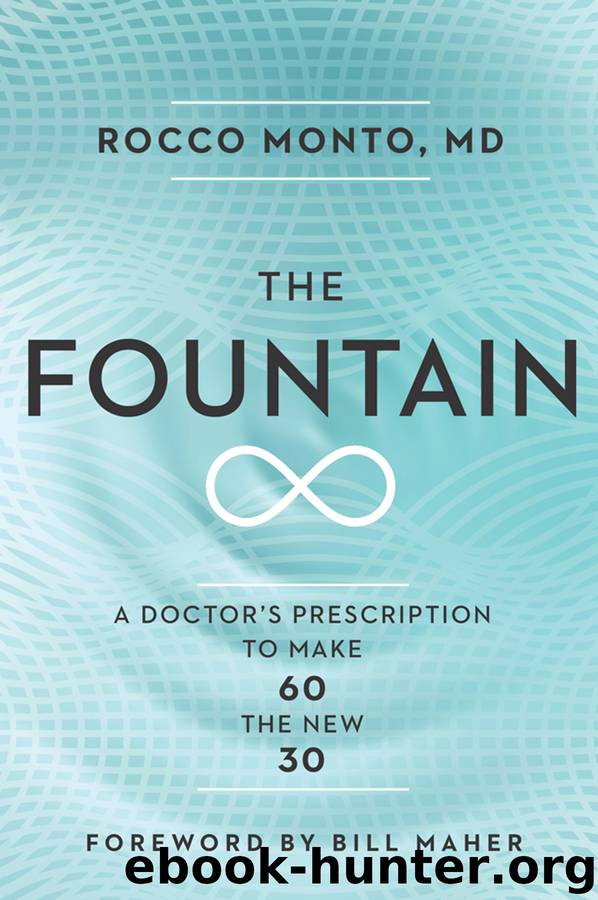 The Fountain by Rocco Monto