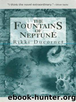 The Fountains of Neptune (American Literature (Dalkey Archive)) by Ducornet Rikki