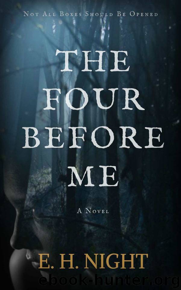 The Four Before Me by E H Night