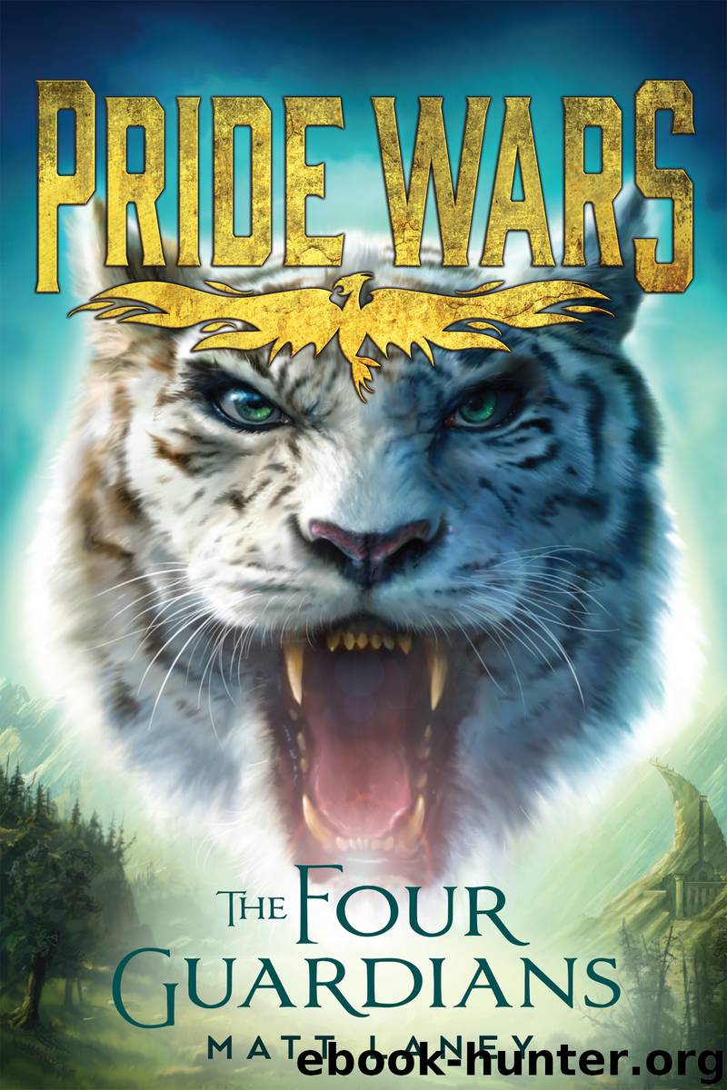 The Four Guardians by Matt Laney
