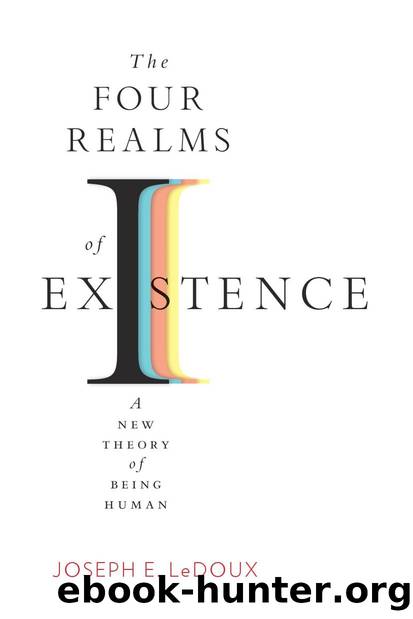 The Four Realms of Existence by Joseph E. LeDoux