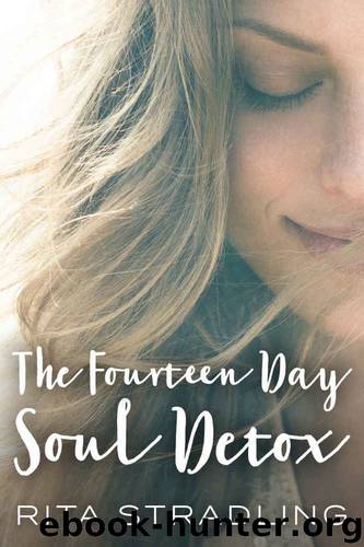 The Fourteen Day Soul Detox by Rita Stradling