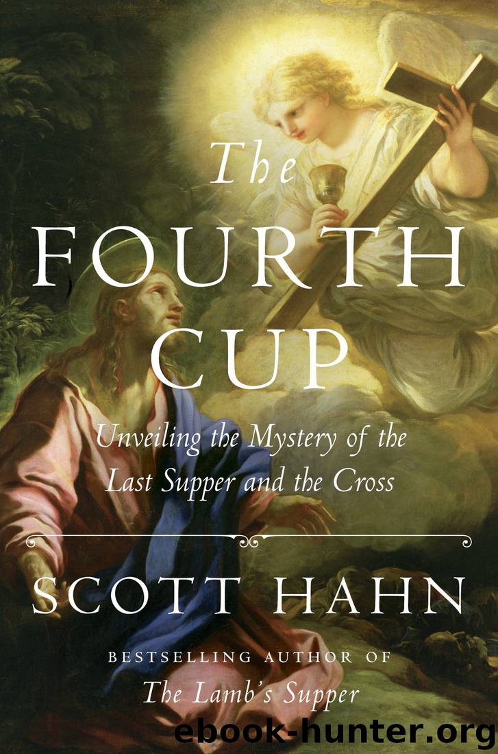 The Fourth Cup by Scott Hahn