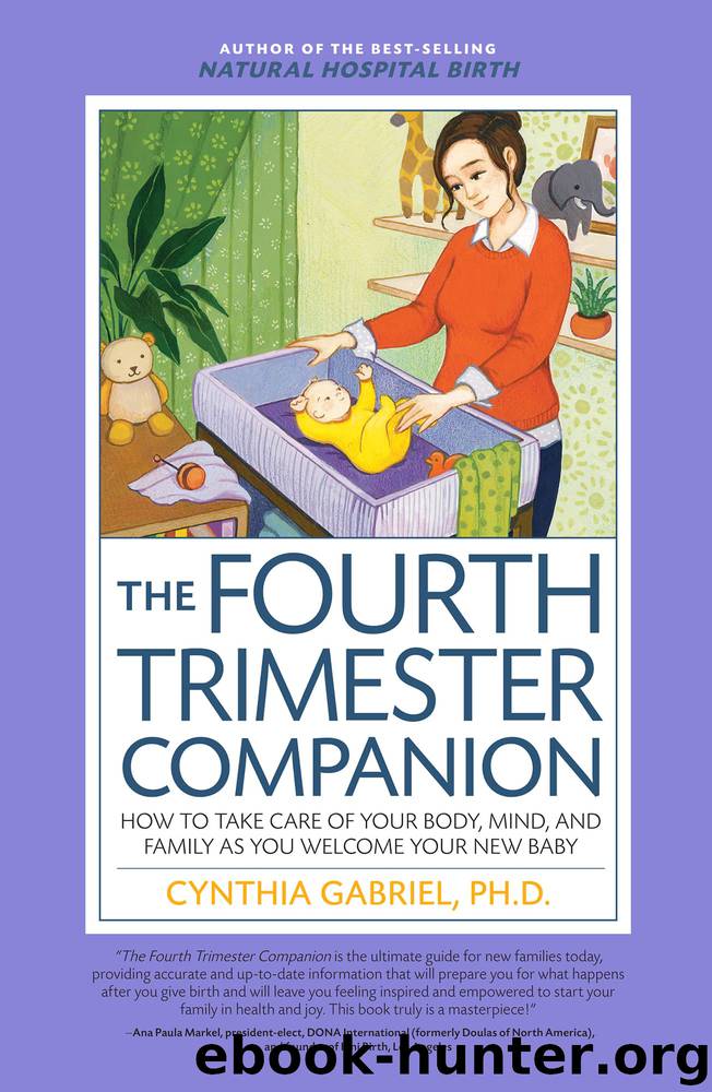 The Fourth Trimester Companion by Cynthia Gabriel