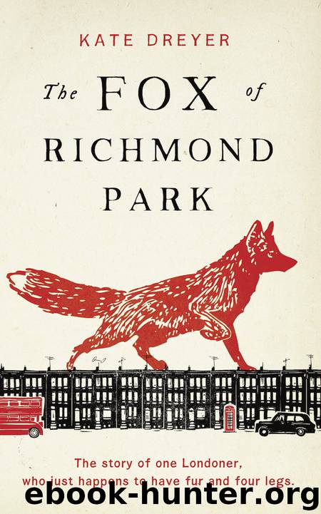 The Fox of Richmond Park by Kate Dreyer