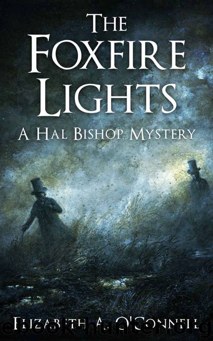 The Foxfire Lights by Elizabeth O'Connell