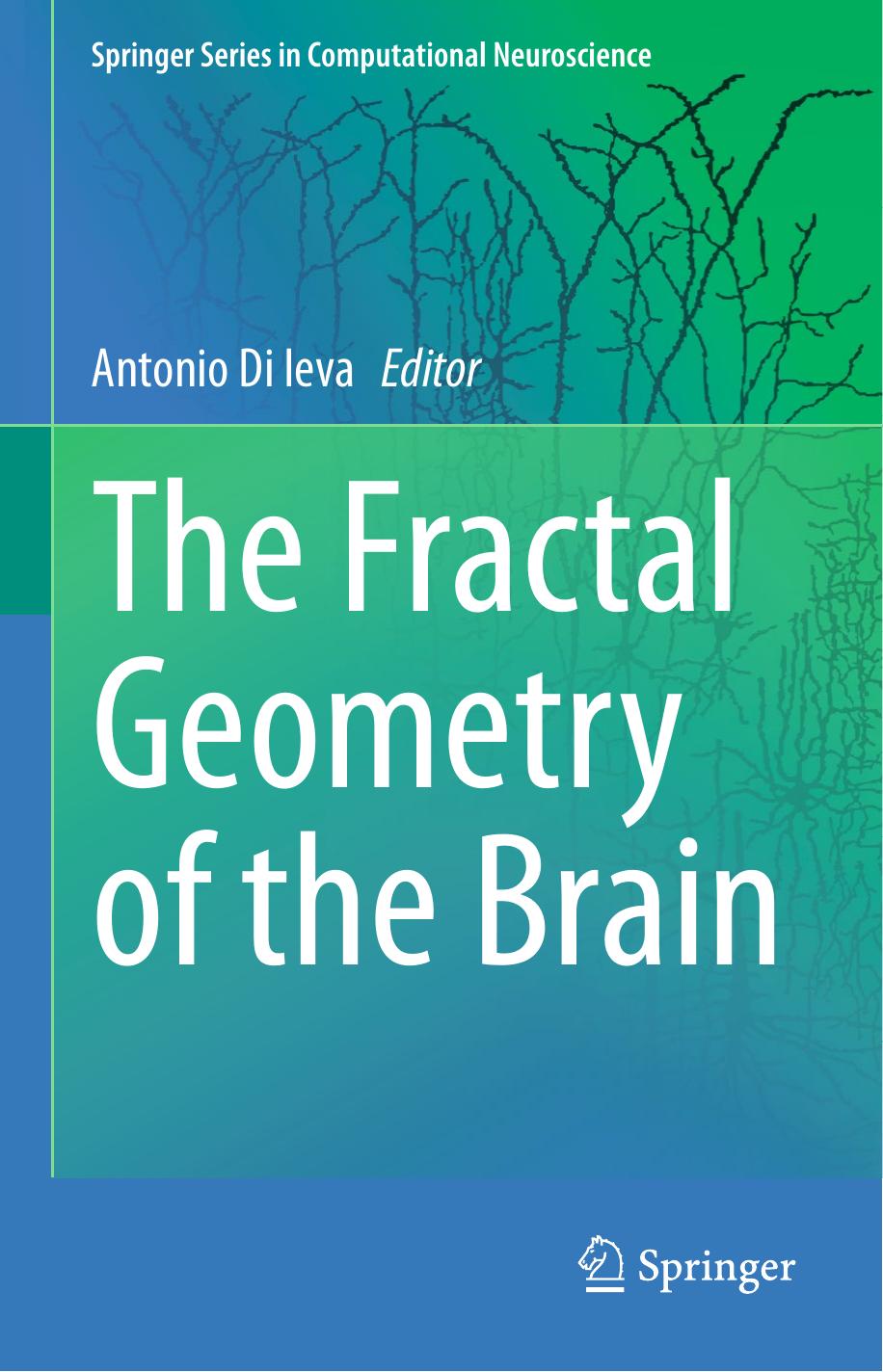 The Fractal Geometry of the Brain by Antonio Di Ieva
