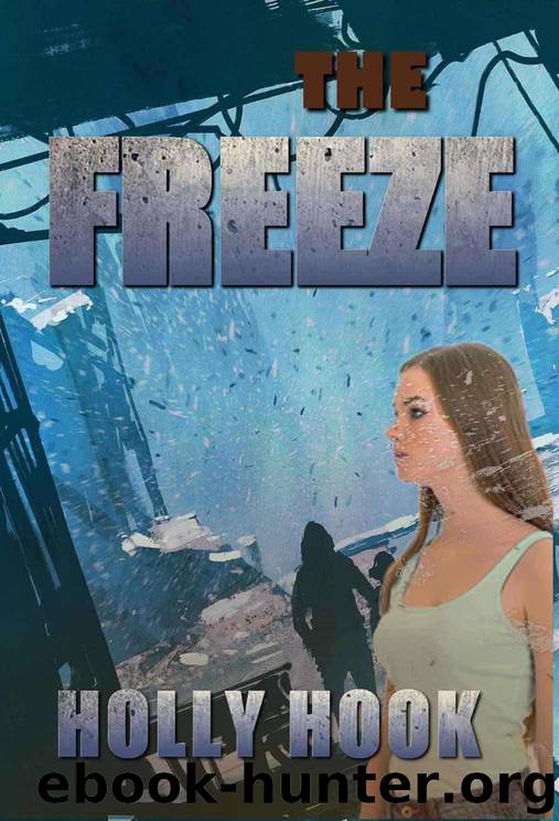 The Freeze (Barren Trilogy, Book 3) by Holly Hook