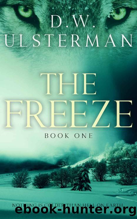 The Freeze: Book One: An end of days survivalist thriller by D.W. Ulsterman