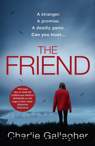 The Friend by Charlie Gallagher