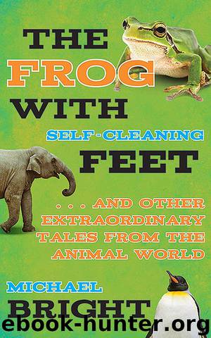 The Frog with Self-Cleaning Feet by Michael Bright