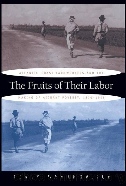 The Fruits of Their Labor by Cindy Hahamovitch