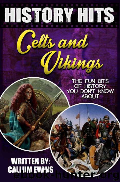 The Fun Bits Of History You Don't Know About CELTS AND VIKINGS: Illustrated Fun Learning For Kids (History Hits Book 1) by Evans Callum