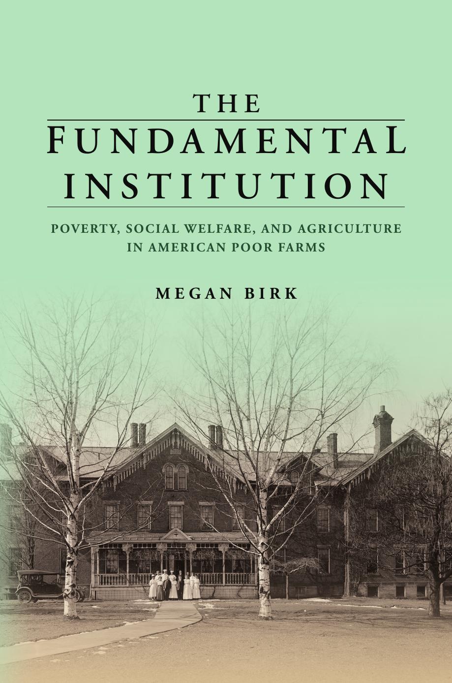 The Fundamental Institution by Megan Birk