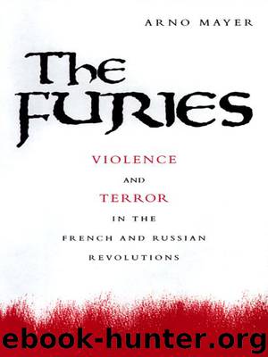 The Furies by Mayer Arno J.;