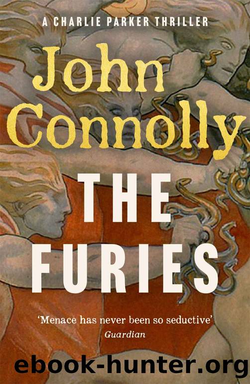 The Furies: Charlie Parker 20 (Charlie Parker Thriller) by John Connolly