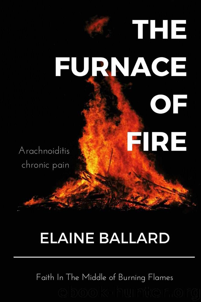 The Furnace of Fire by Elaine Ballard