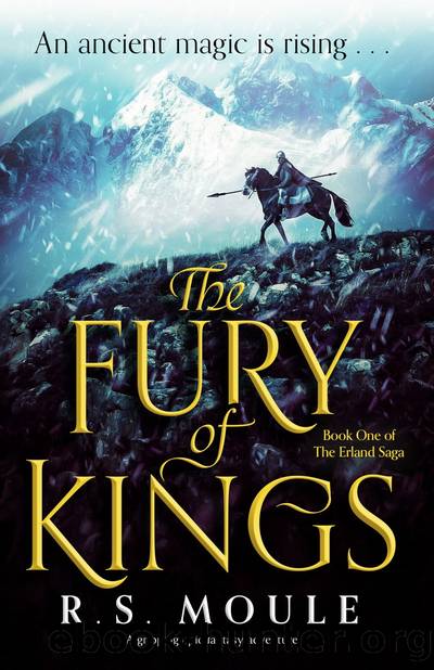 The Fury of Kings by R.S. Moule
