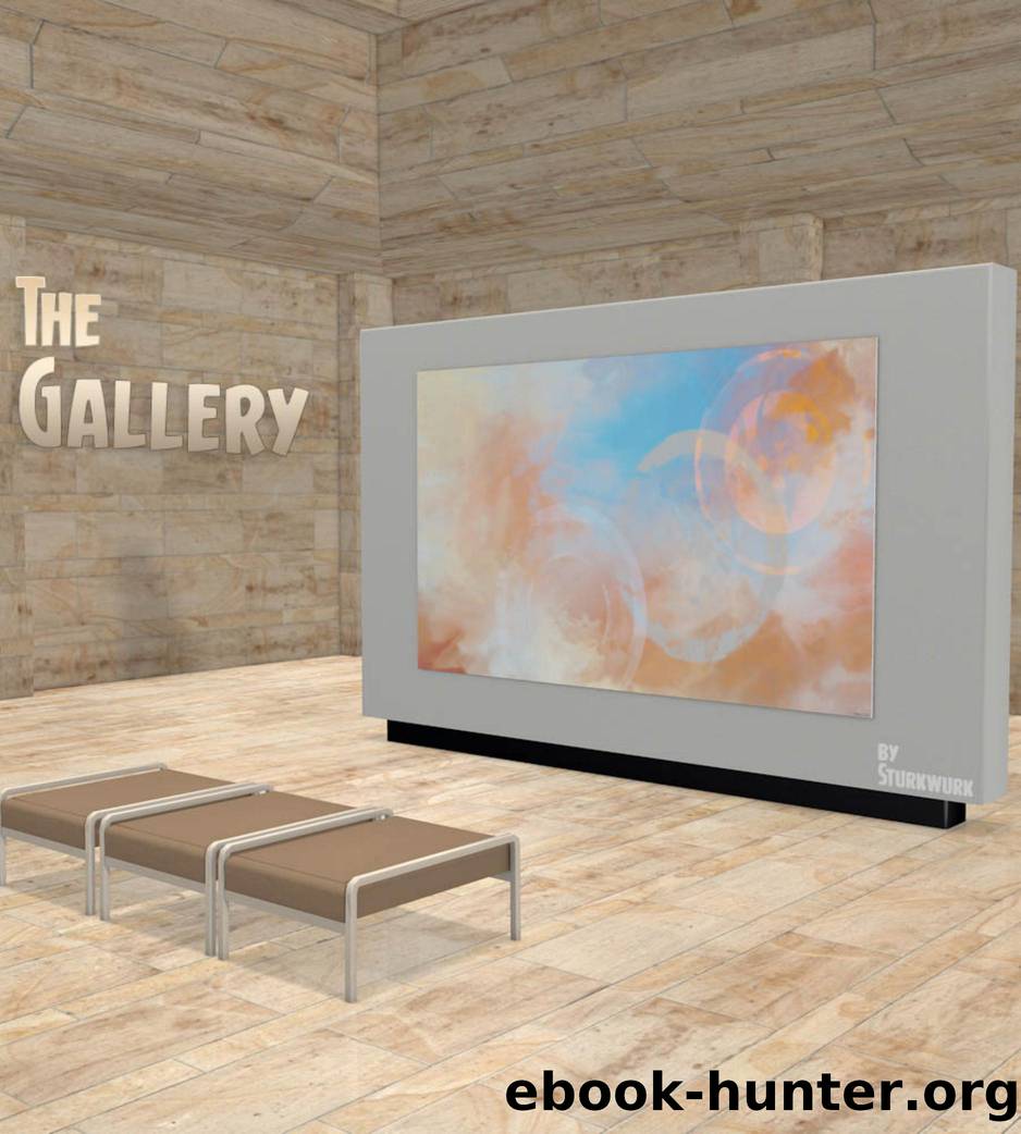 The Gallery by by SturkWurk