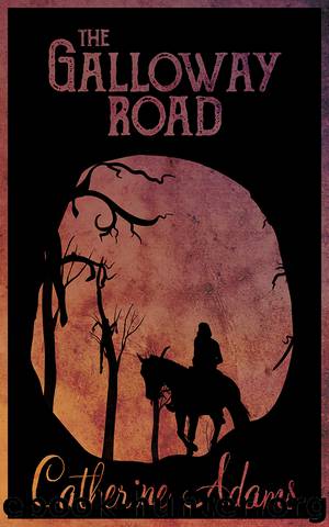 The Galloway Road by Catherine Adams