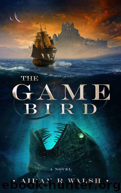 The Game Bird by Aidan R Walsh