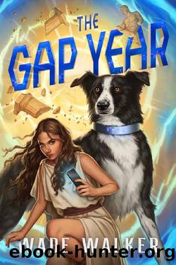 The Gap Year by Wade Walker