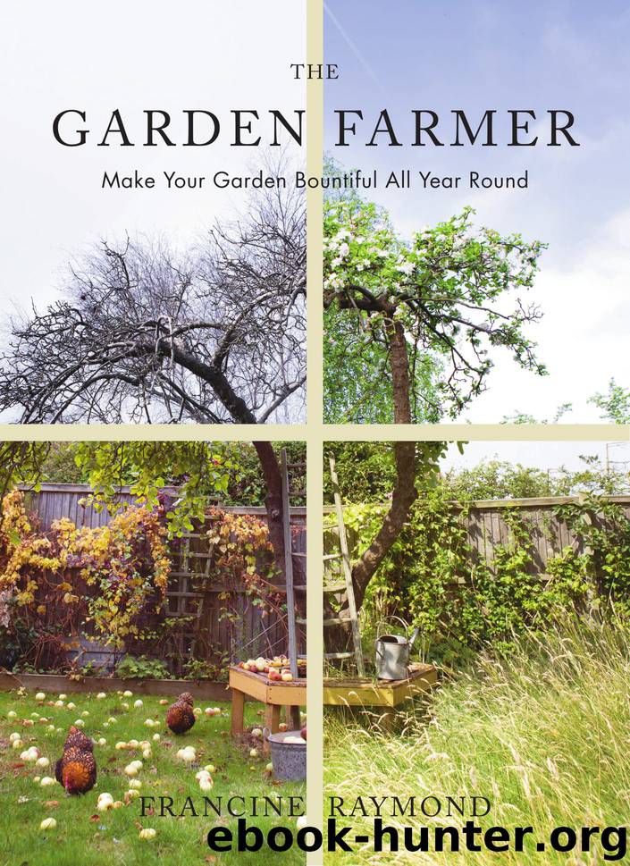 The Garden Farmer by Francine Raymond
