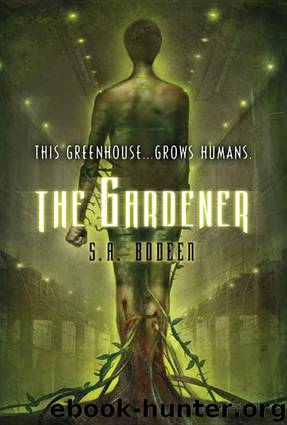 The Gardener by Bodeen S. A