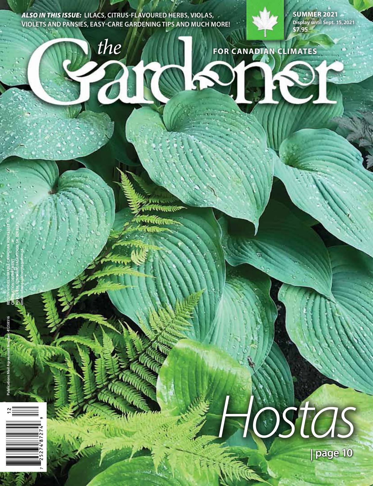 The Gardener by Summer 2021