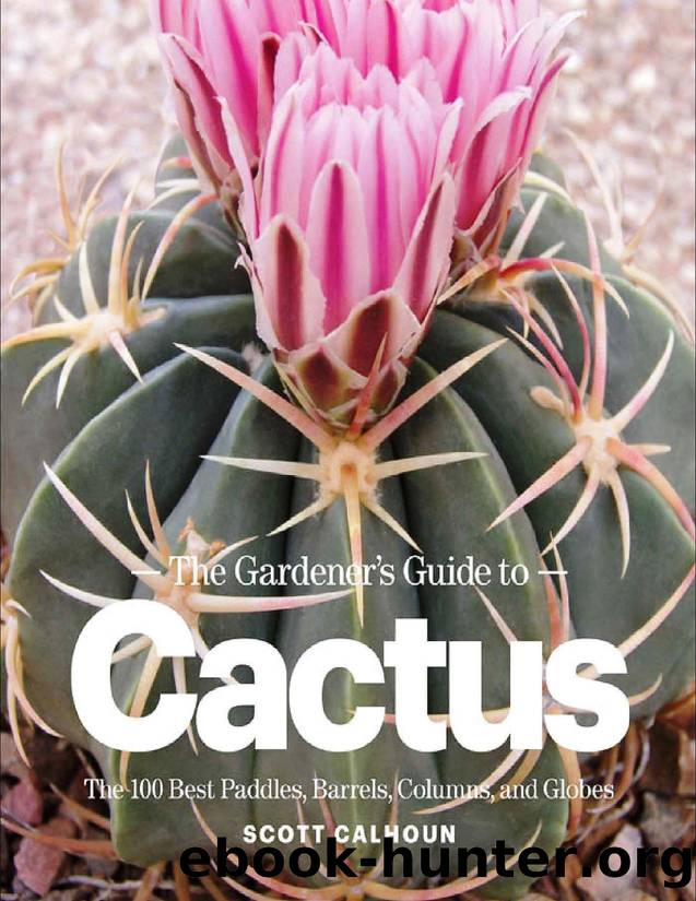 The Gardener' s Guide to Cactus by SCOTT CALHOUN