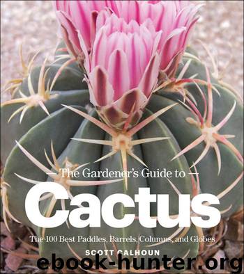 The Gardener's Guide to Cactus by Scott Calhoun