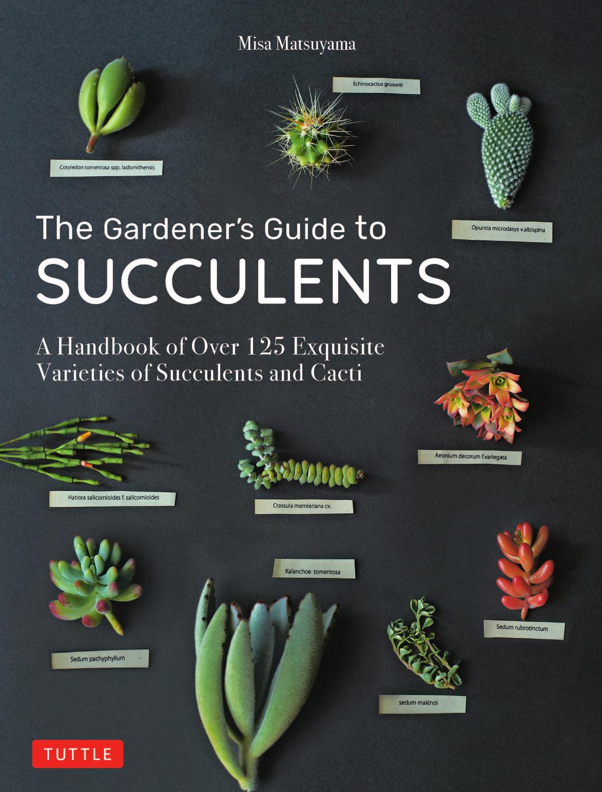 The Gardener's Guide to Succulents by Misa Matsuyama
