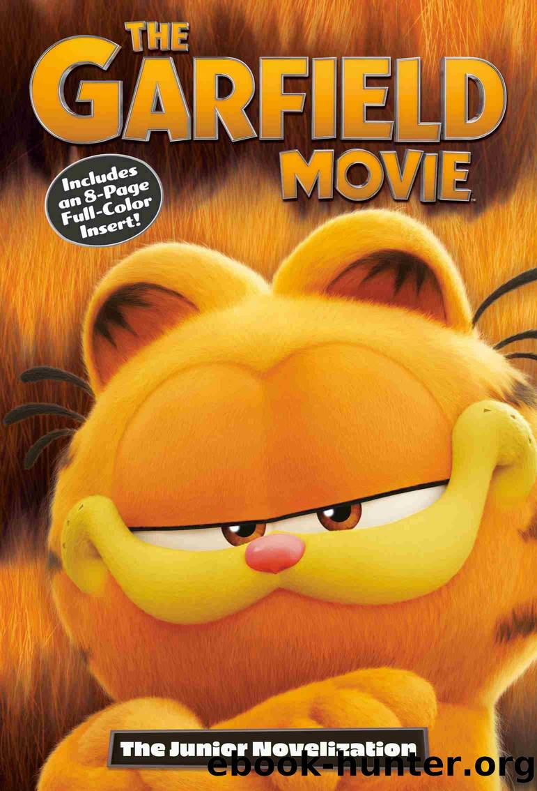 The Garfield Movie by David Lewman