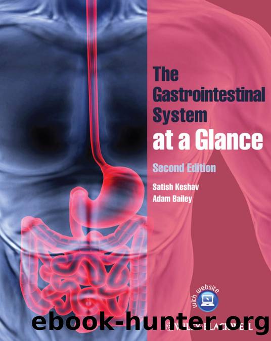 The Gastrointestinal System at a Glance by Satish Keshav and Adam Bailey