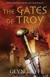 The Gates Of Troy by Glyn Iliffe