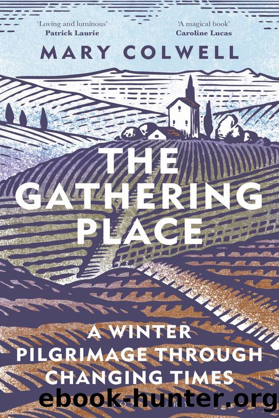 The Gathering Place by Mary Colwell