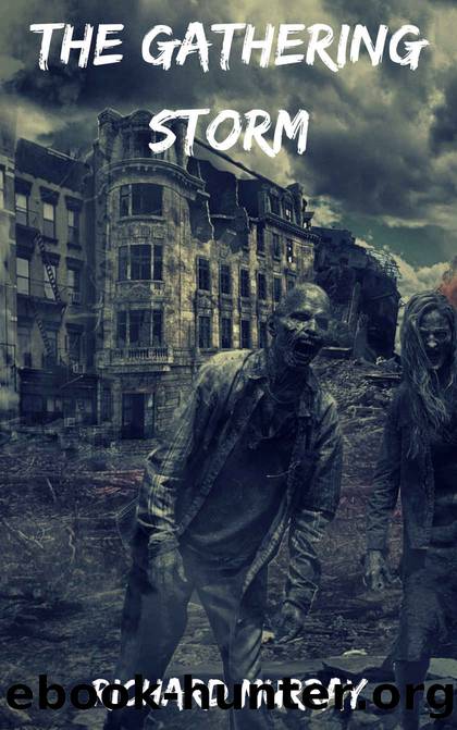 The Gathering Storm by Richard Murray