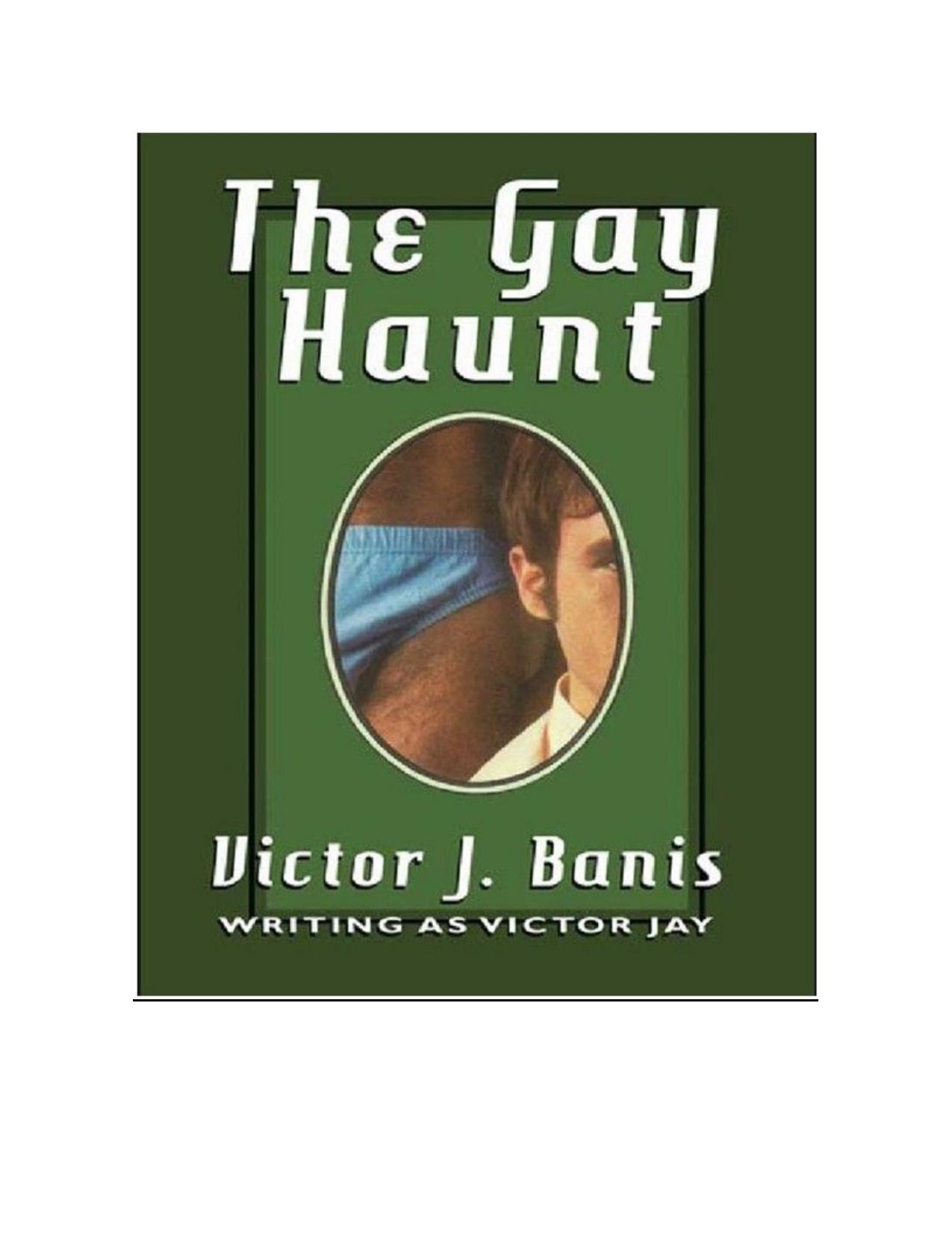 The Gay Haunt by Victor J. Banis