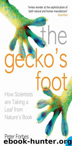 The Gecko's Foot by Peter Forbes