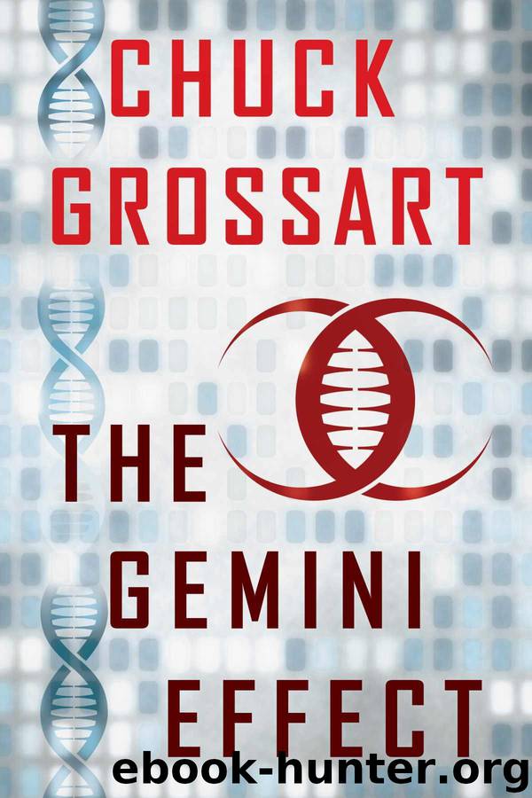 The Gemini Effect by Grossart Chuck