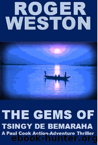 The Gems of Tsingy de Bemaraha: A Paul Cook Action-Adventure Thriller Novel (The Cook Series Book 1) by Roger Weston