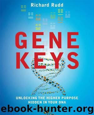The Gene Keys: Unlocking the Higher Purpose Hidden in your DNA by Rudd Richard