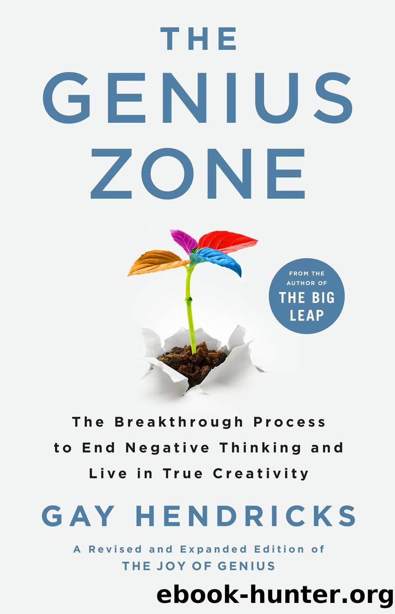 The Genius Zone by Gay Hendricks PH.D