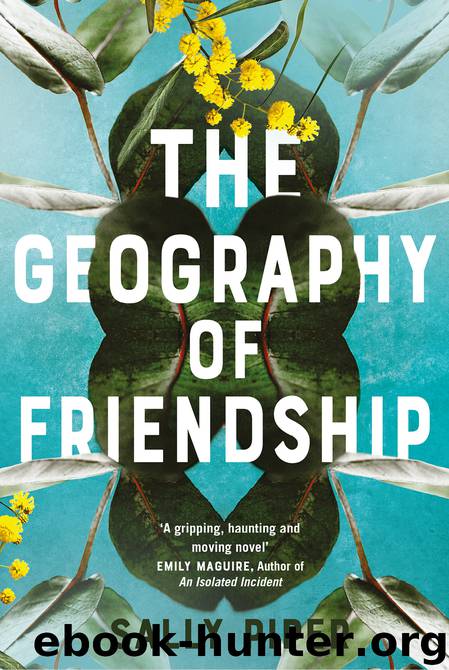 The Geography of Friendship by Sally Piper