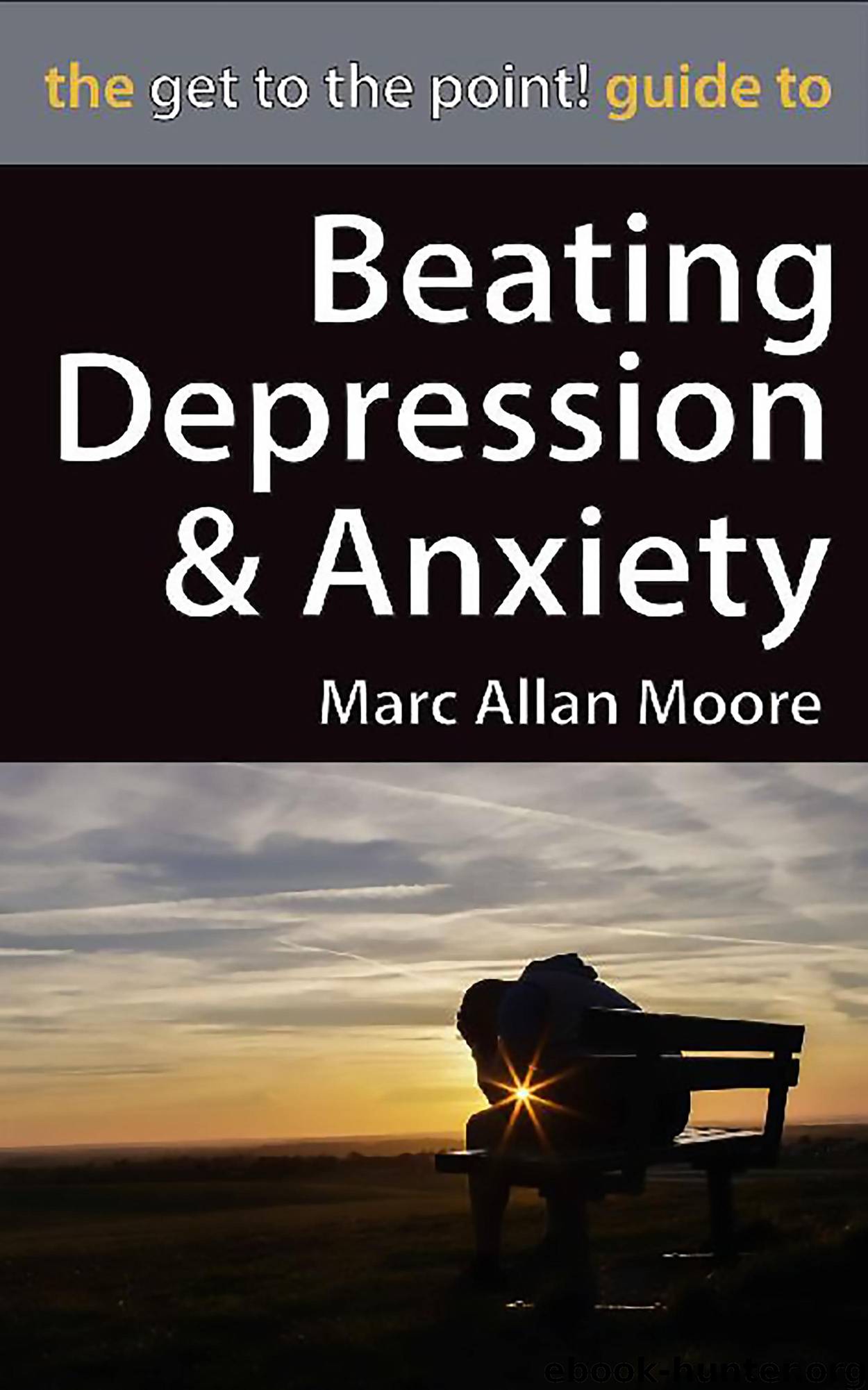 The Get to the Point! Guide to Beating Depression and Anxiety by Marc Allan Moore