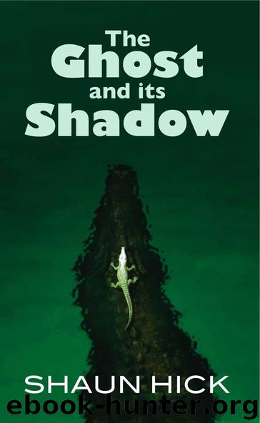 The Ghost And Its Shadow by Shaun Hick