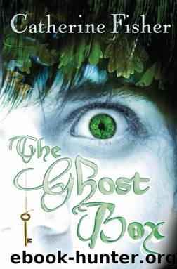 The Ghost Box by Catherine Fisher