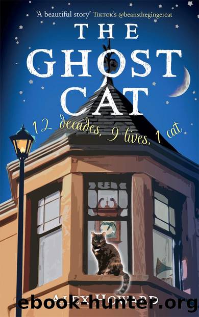 The Ghost Cat by Alex Howard