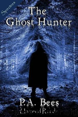 The Ghost Hunter by P.A. Bees